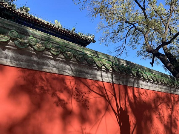 1733189503554120.jpg 紅墻.jpg